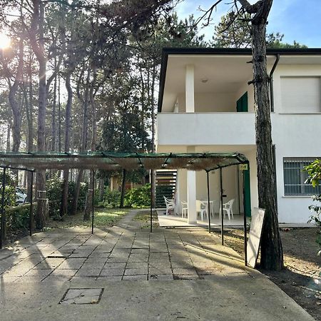 Villa Giorgio 2 Mare E Pineta ビビオーネ エクステリア 写真