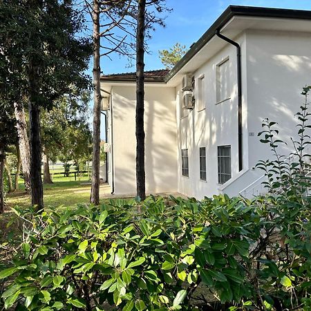 Villa Giorgio 2 Mare E Pineta ビビオーネ エクステリア 写真
